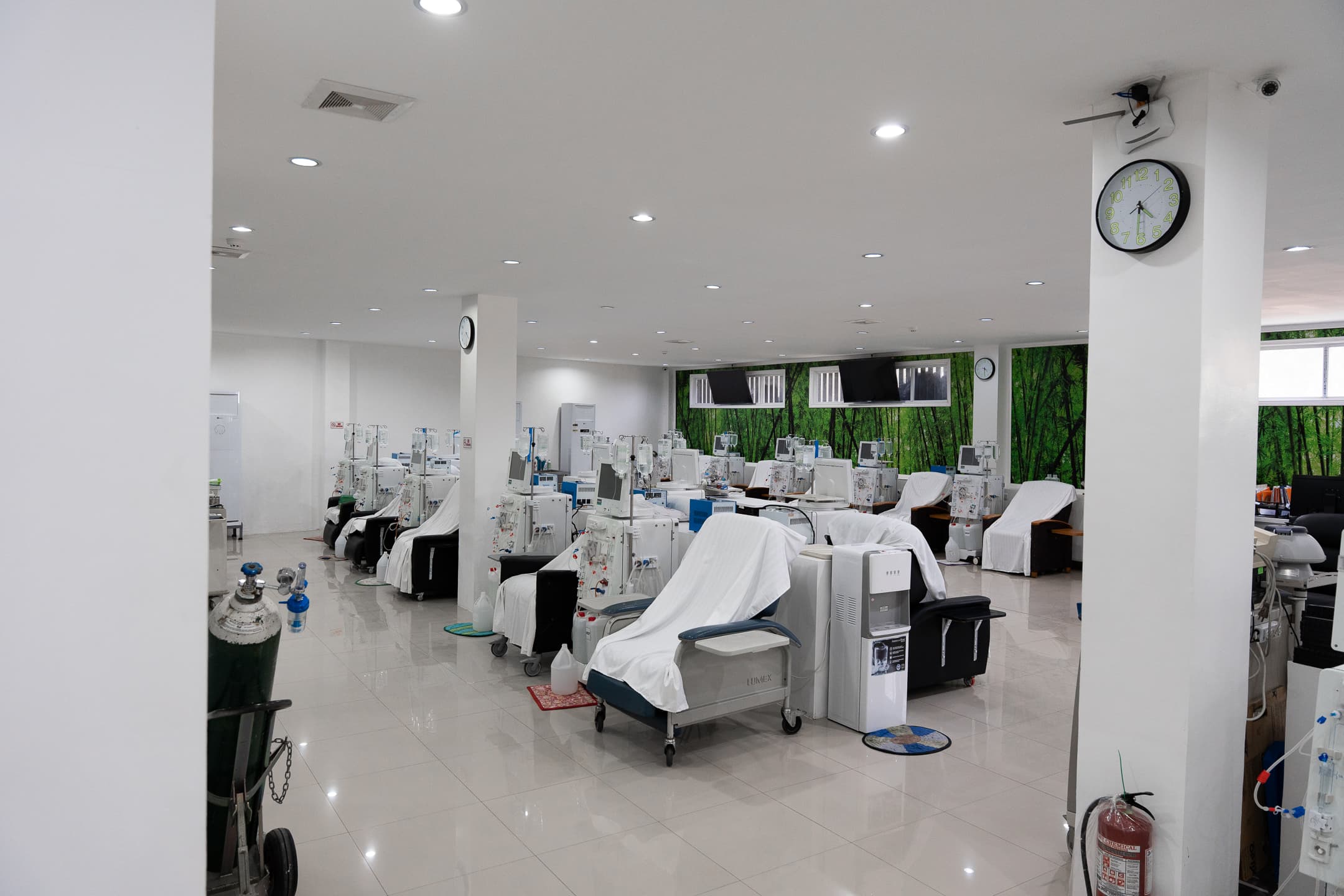 Kidney-Friendly Filipino Recipe Collection