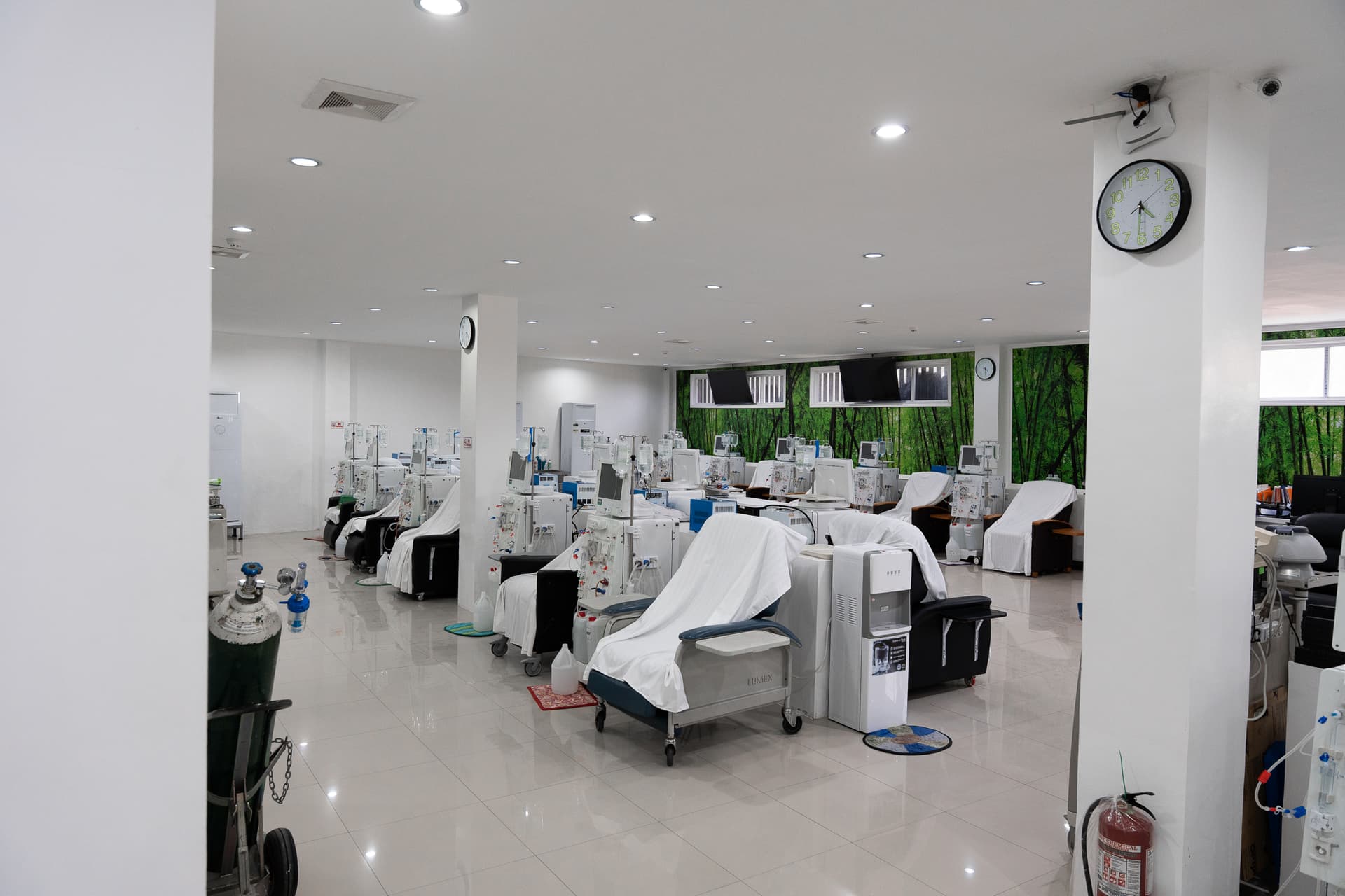 Kidney-Friendly Filipino Recipe Collection